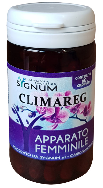 CLIMAREG 60CPS