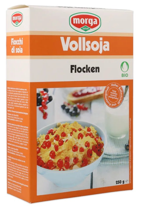MORGA FIOCCHI SOJA BIO 250G