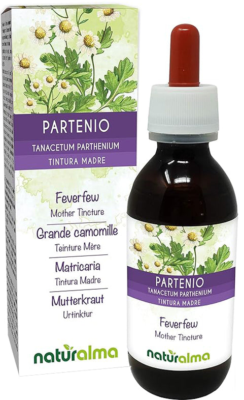 PATERNIO SOMMITA FIOR TM 50