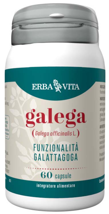 GALEGA 60CPS