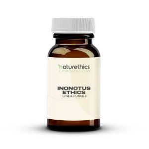 INONOTUS ETHICS 60CPS