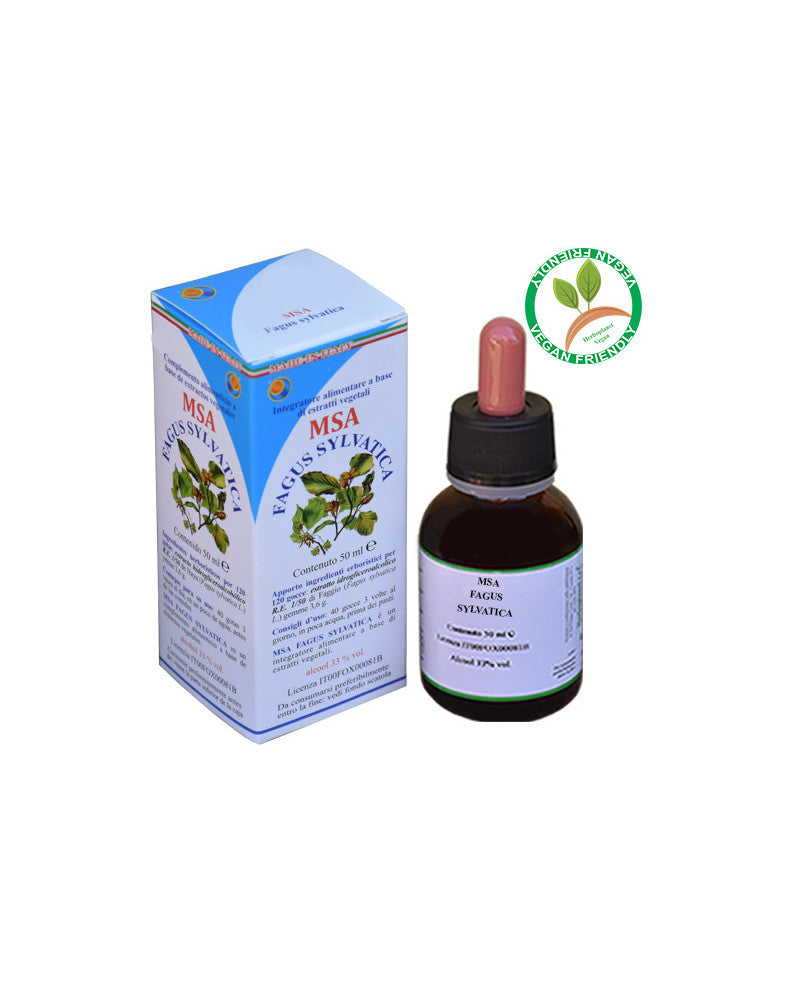 MSA FAGUS SYLVATICA 50ML