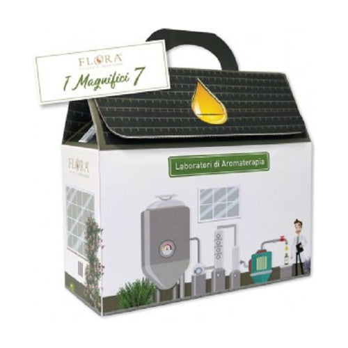 I MAGNIFICI 7 OLI ESSENZIALI