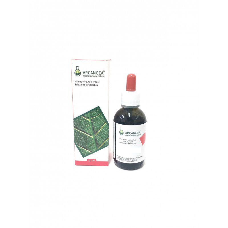 AESCULUS HIPPOCASTANUM CIRCOLATUM MG 50ML