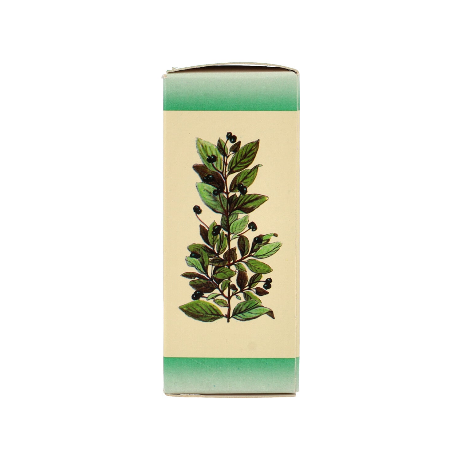 AVENA SATIVA 50ML TM