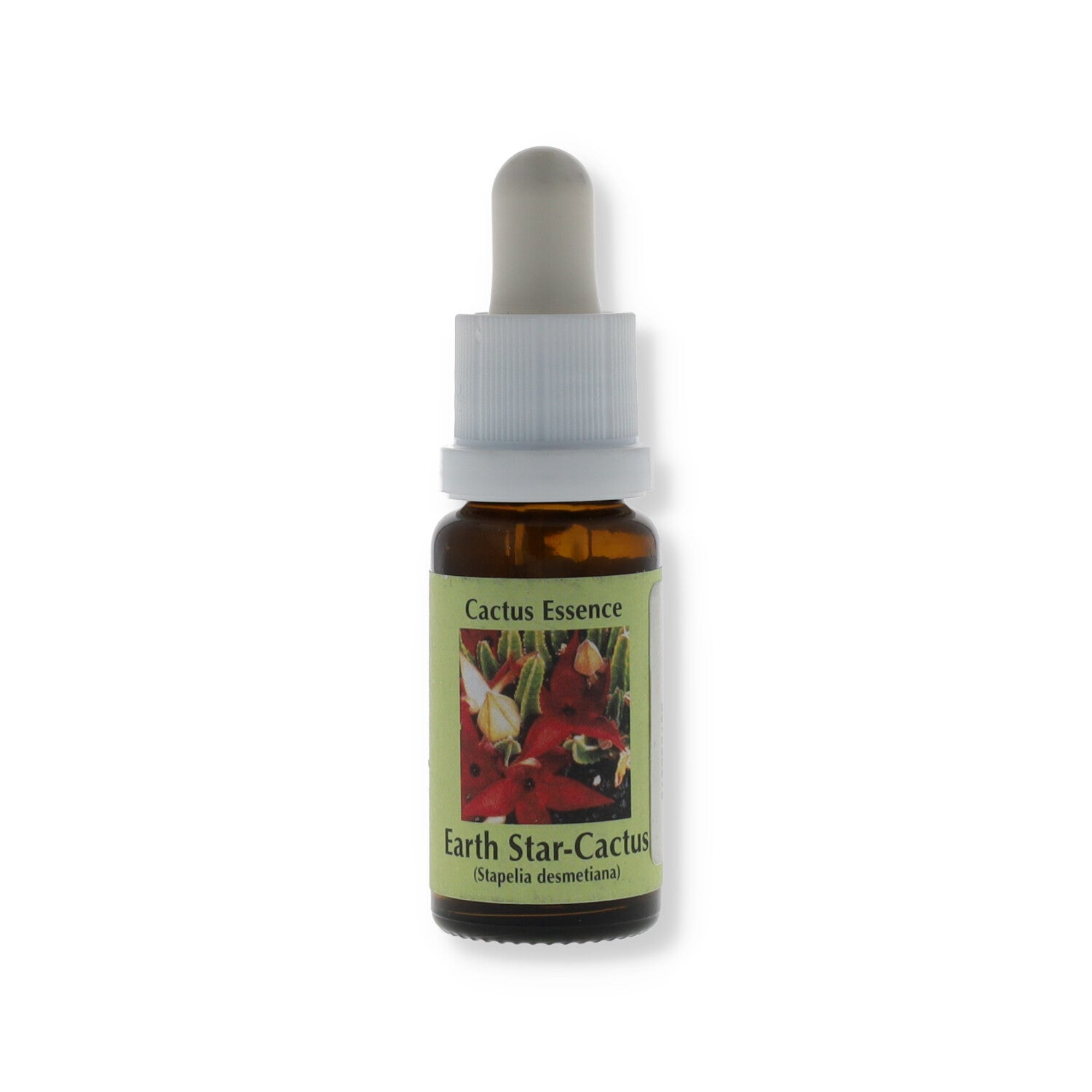 ESSENZA CACTUS KORTE EARTH STAR 15ML