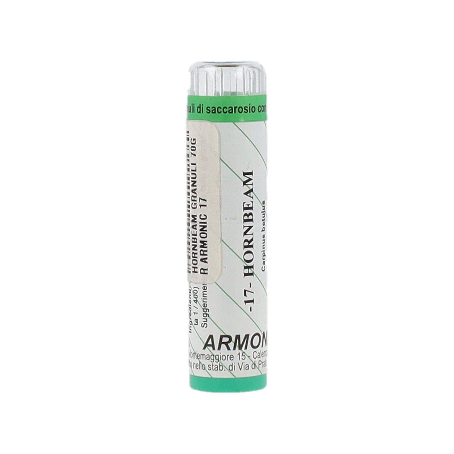 ARMONIC 17 HORNBEAM 70GR