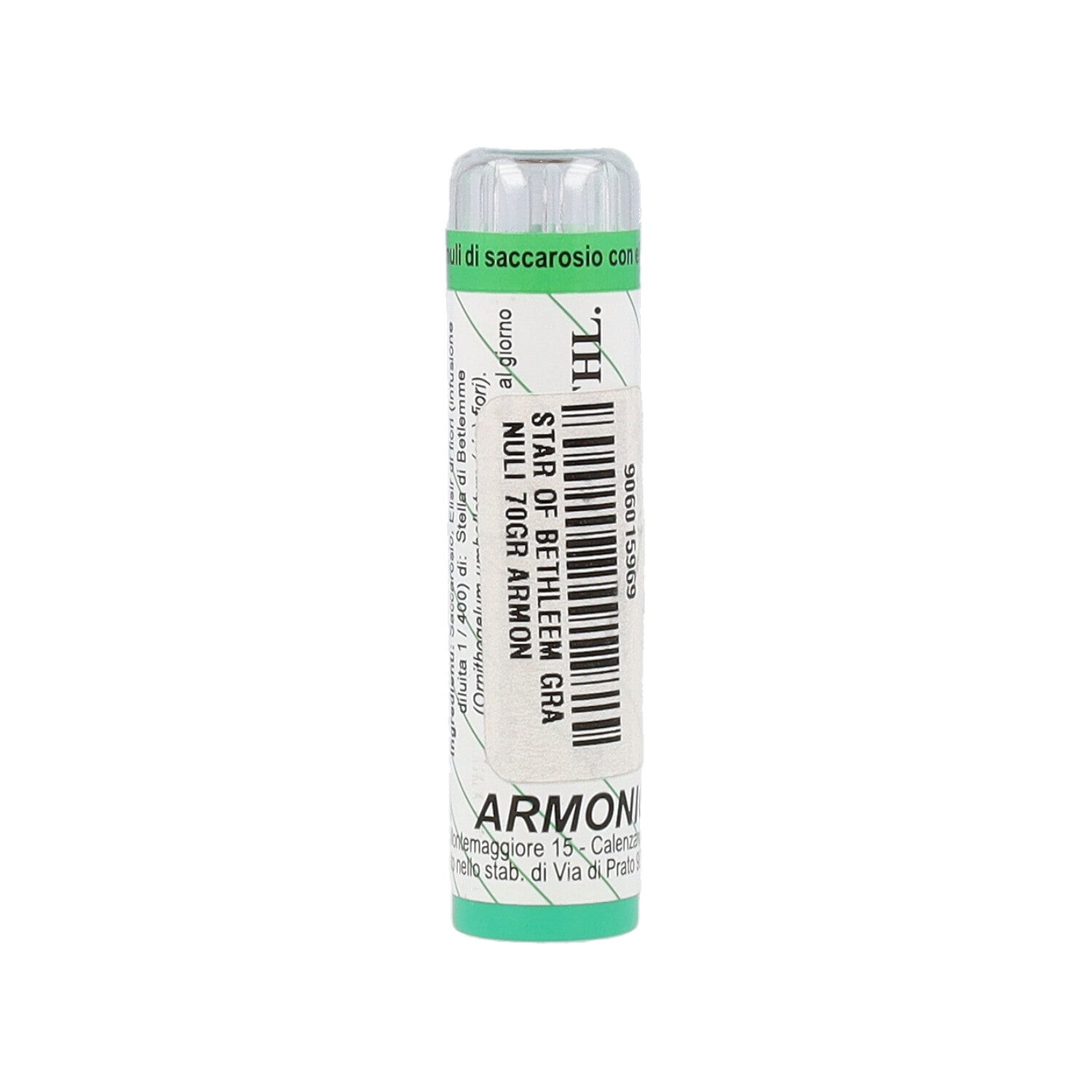 ARMONIC 29 STAR OF BETHLEM70GR
