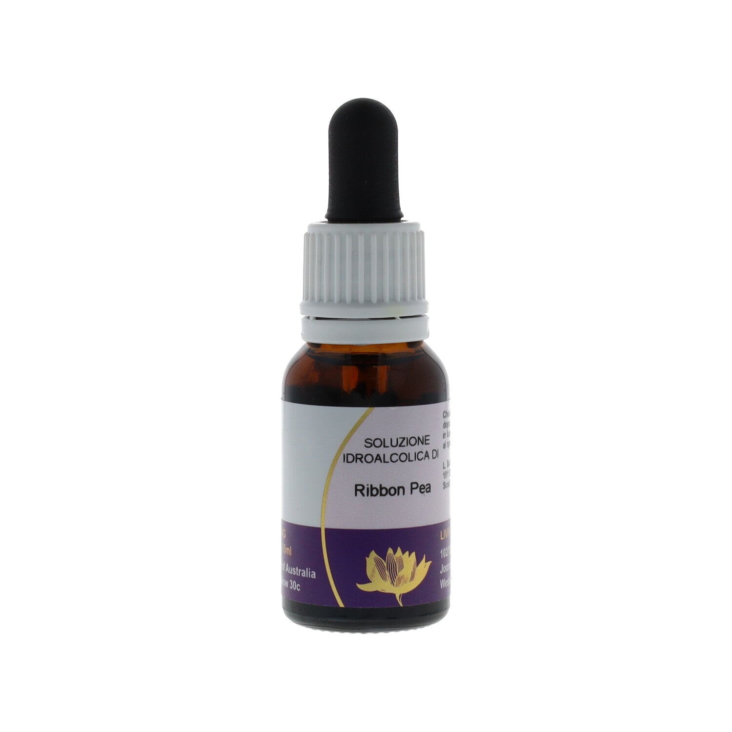 ESSENZA SINGOLA AUSTRALIAN LIVING RIBBON PEA 15 ML