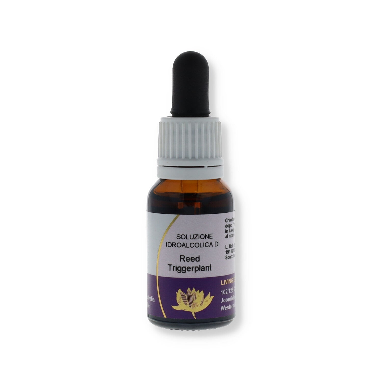 ESSENZA SINGOLA AUSTRALIAN LIVING REED TRIGGERPLANT 15 ML