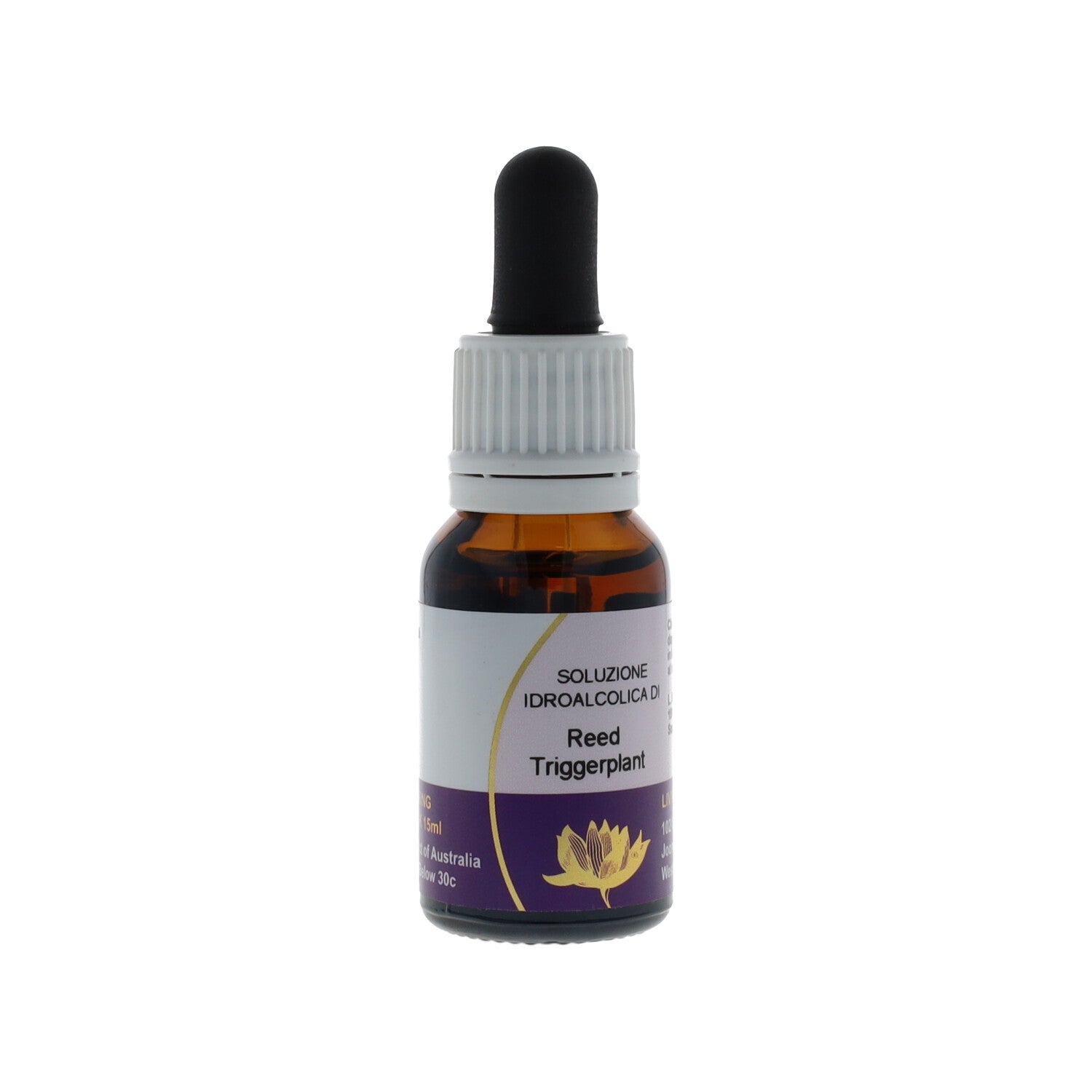 ESSENZA SINGOLA AUSTRALIAN LIVING REED TRIGGERPLANT 15 ML