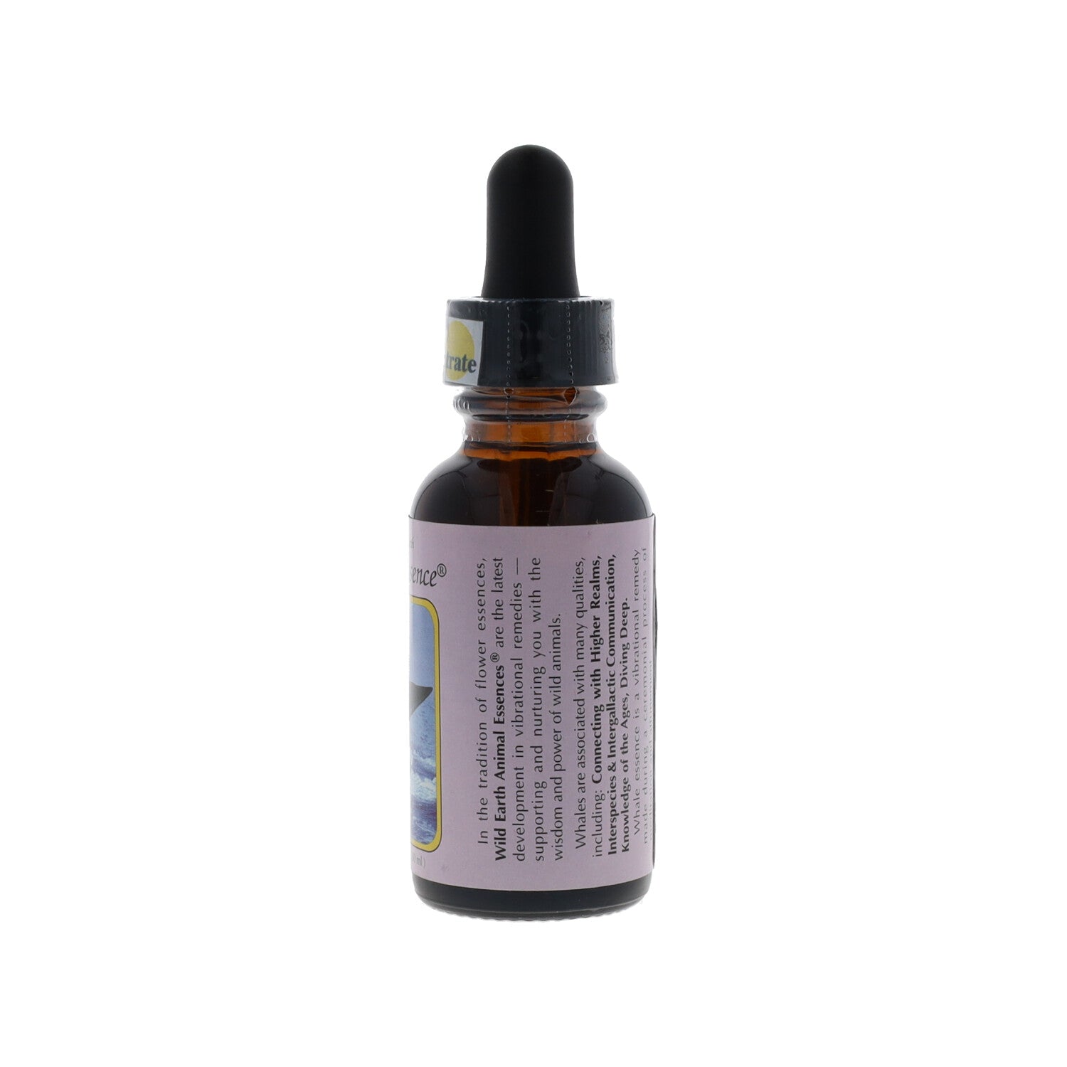 ESSENZA SINGOLA WILD EARTH BALENA 30 ML
