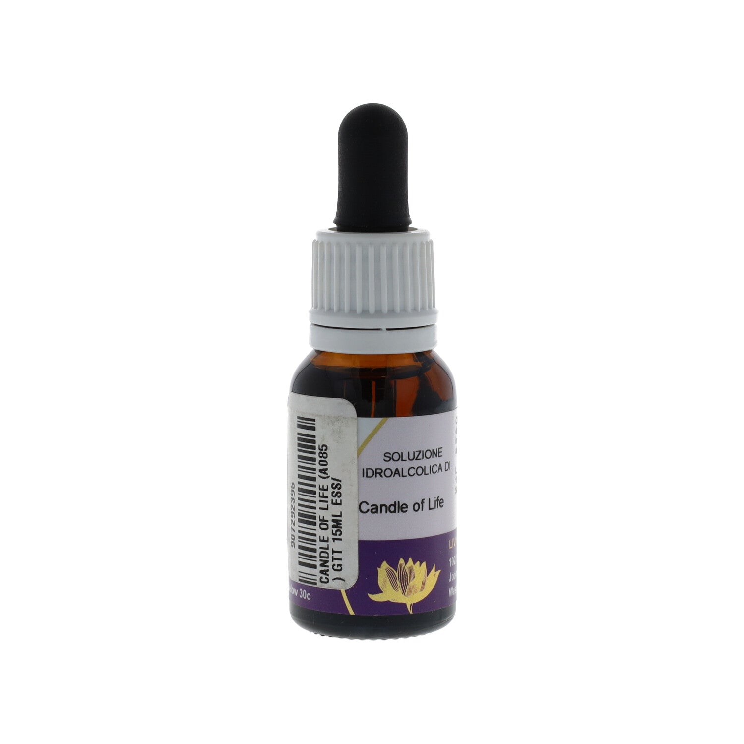 ESSENZA SINGOLA AUSTRALIAN LIVING CANDLE OF LIFE 15 ML