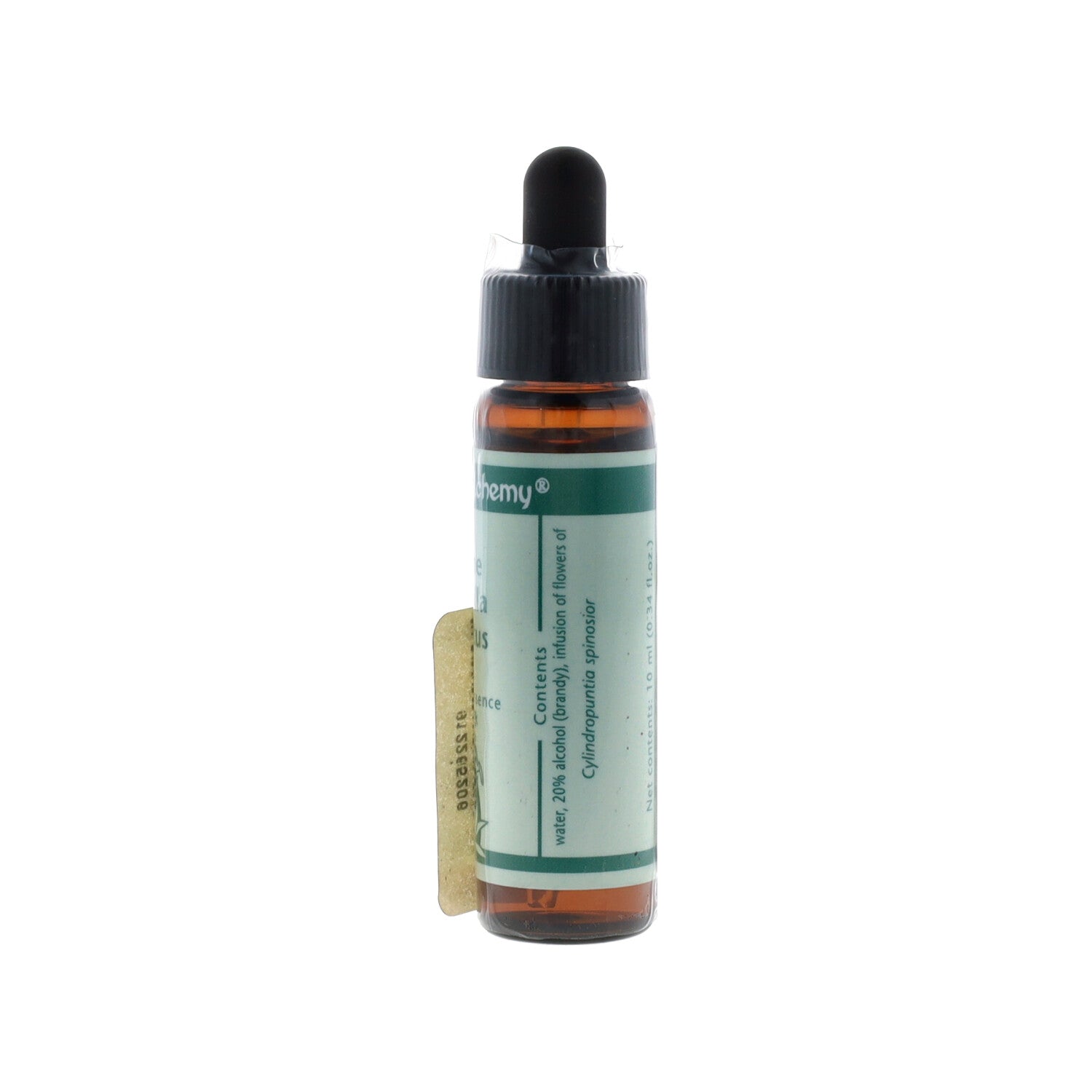 ESSENZA SINGOLA DEL DESERTO DELL'ARIZONA CANE CHOLLA CACTUS 10 ML