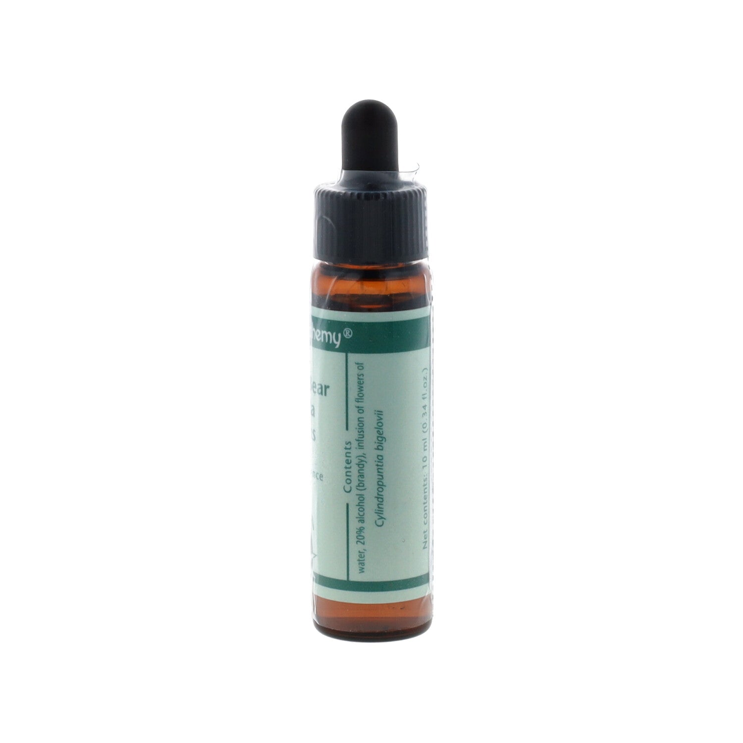 ESSENZA SINGOLA DEL DESERTO DELL'ARIZONA TEDDY BEAR CHOLLA CACTUS 10ML