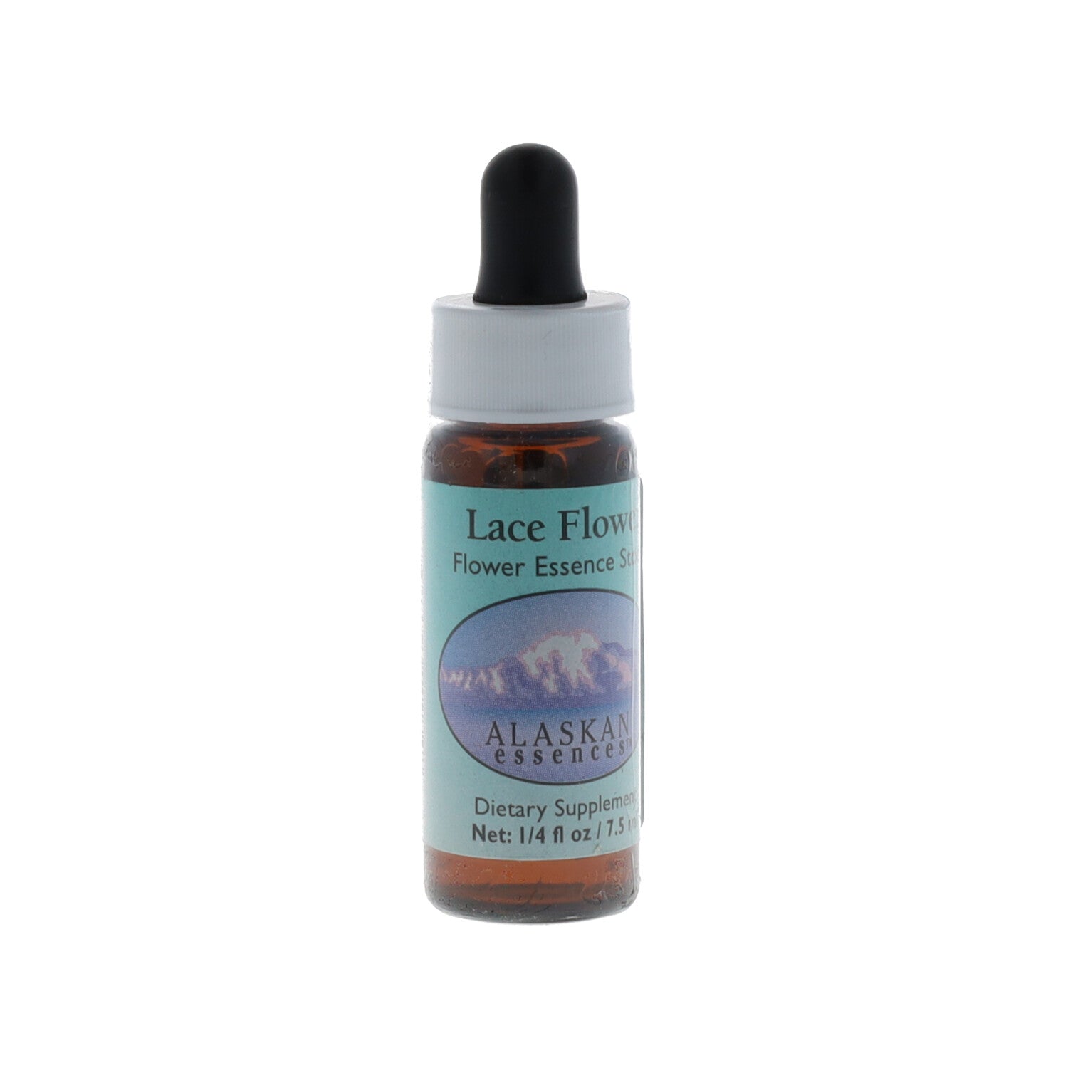 ESSENZA ALASKA LACE FLOWER 7,4ML