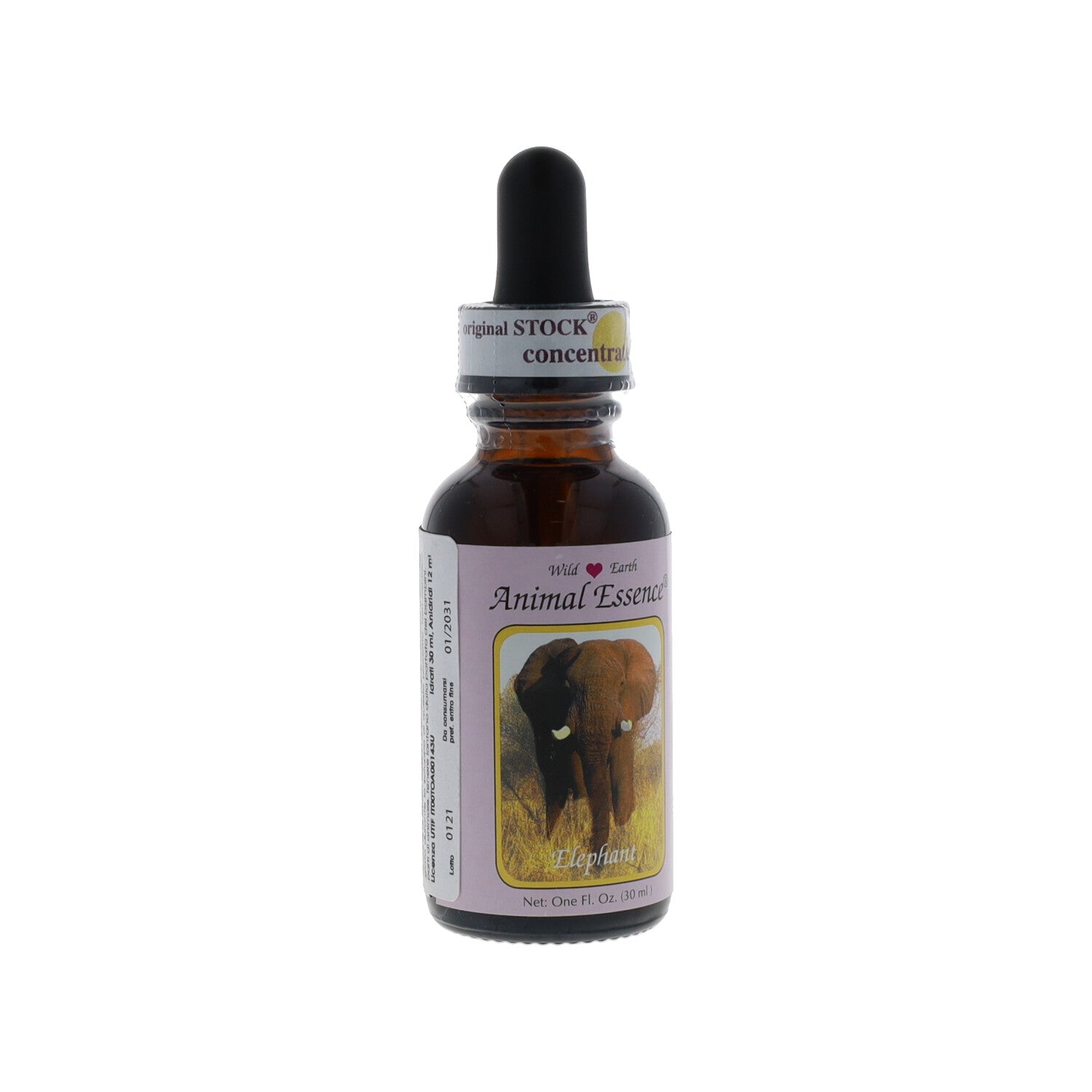 ESSENZA SINGOLA WILD EARTH ELEPHANT 30 ML
