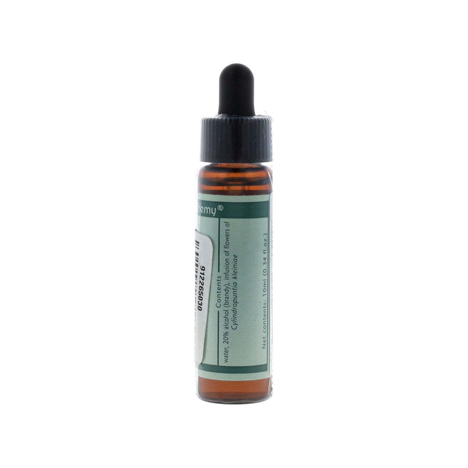 ESSENZA SINGOLA DEL DESERTO DELL'ARIZONA KLEIN'S PENCIL CHOLLA CACTUS 10 ML