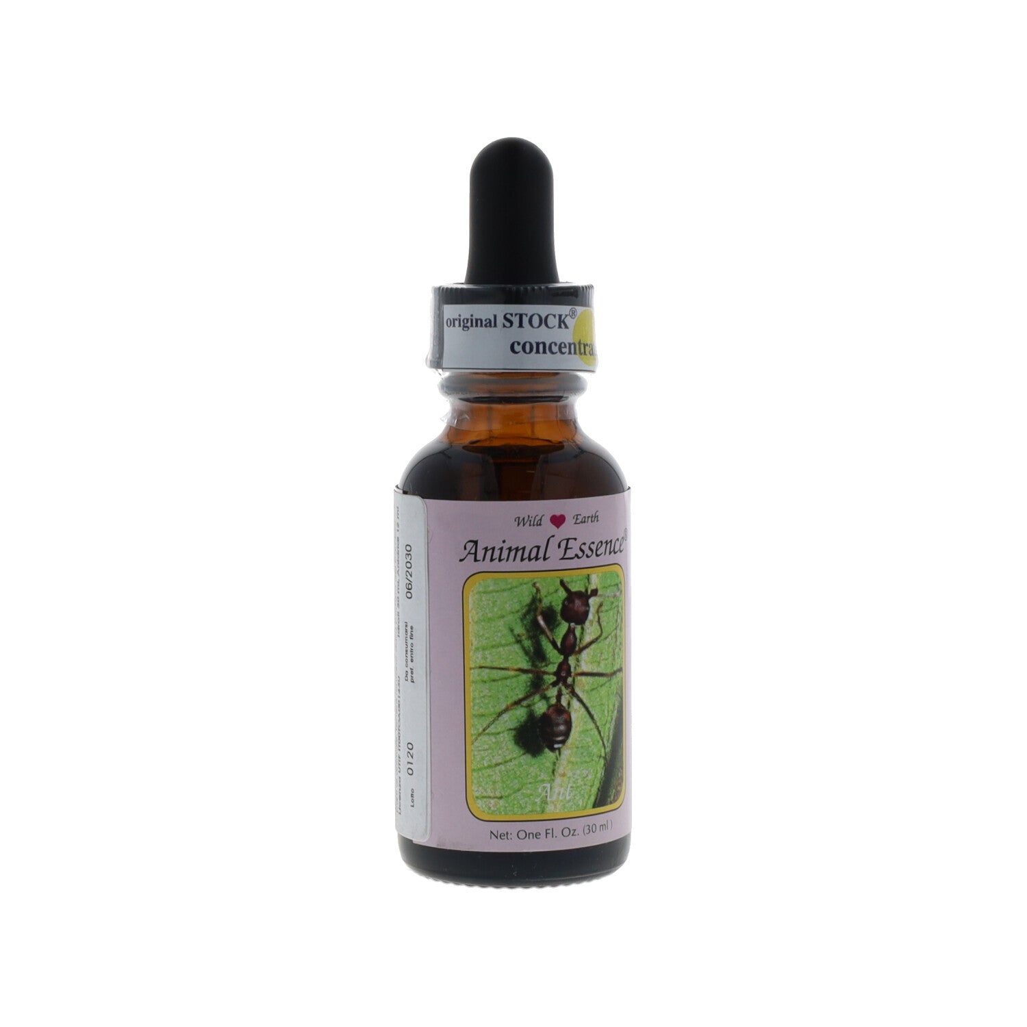 ESSENZA SINGOLA WILD EARTH ANT 30 ML