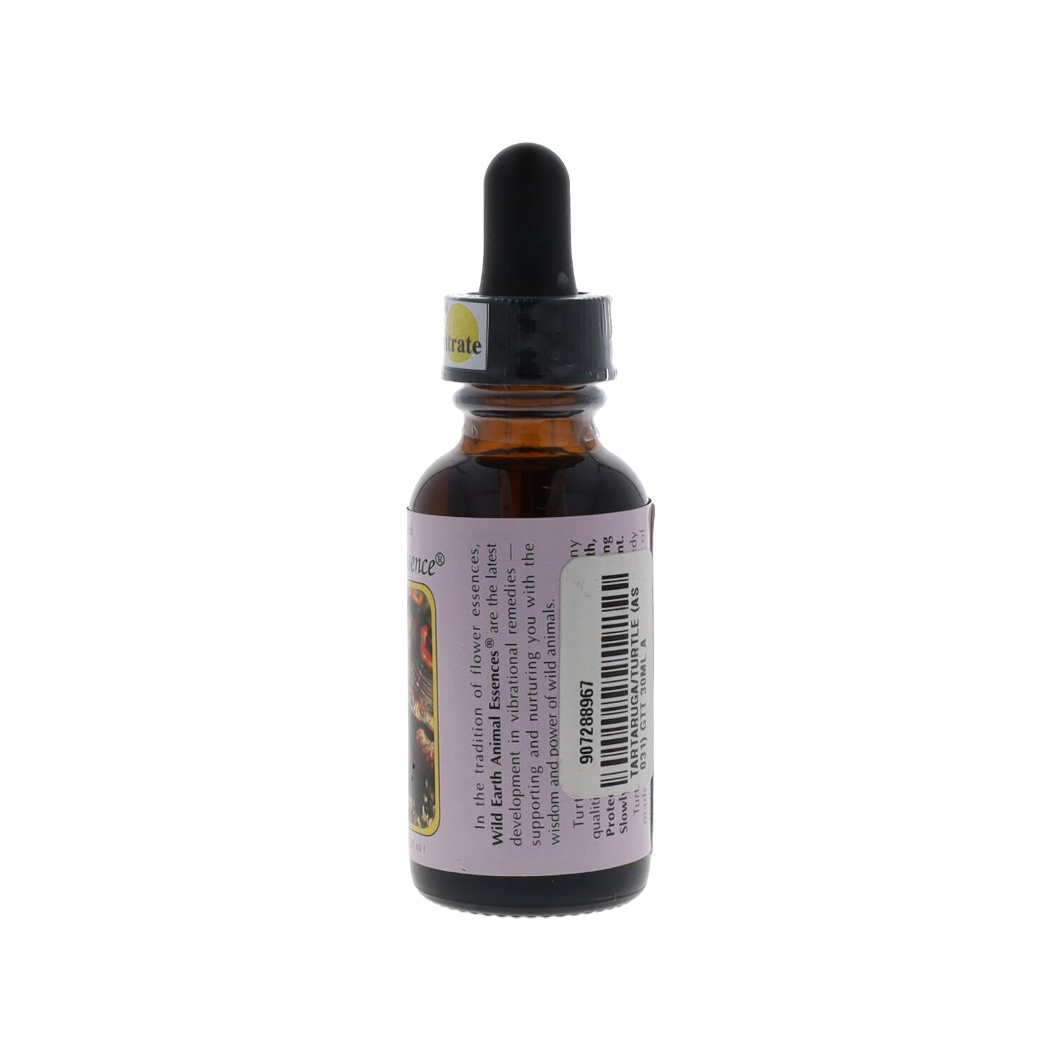 ESSENZA SINGOLA WILD EARTH TURTLE 30 ML
