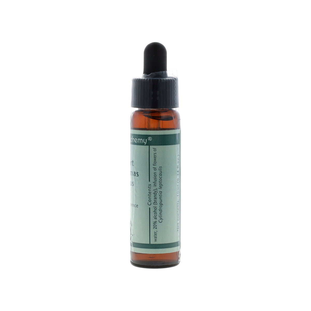 ESSENZA SINGOLA DEL DESERTO DELL'ARIZONA DESERT CHRISTMAS CHOLLA CACTUS 10 ML