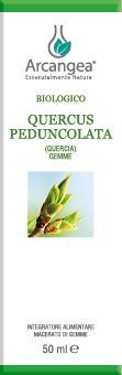 QUERCUS PEDUNCOLATA MG BIO 100ML