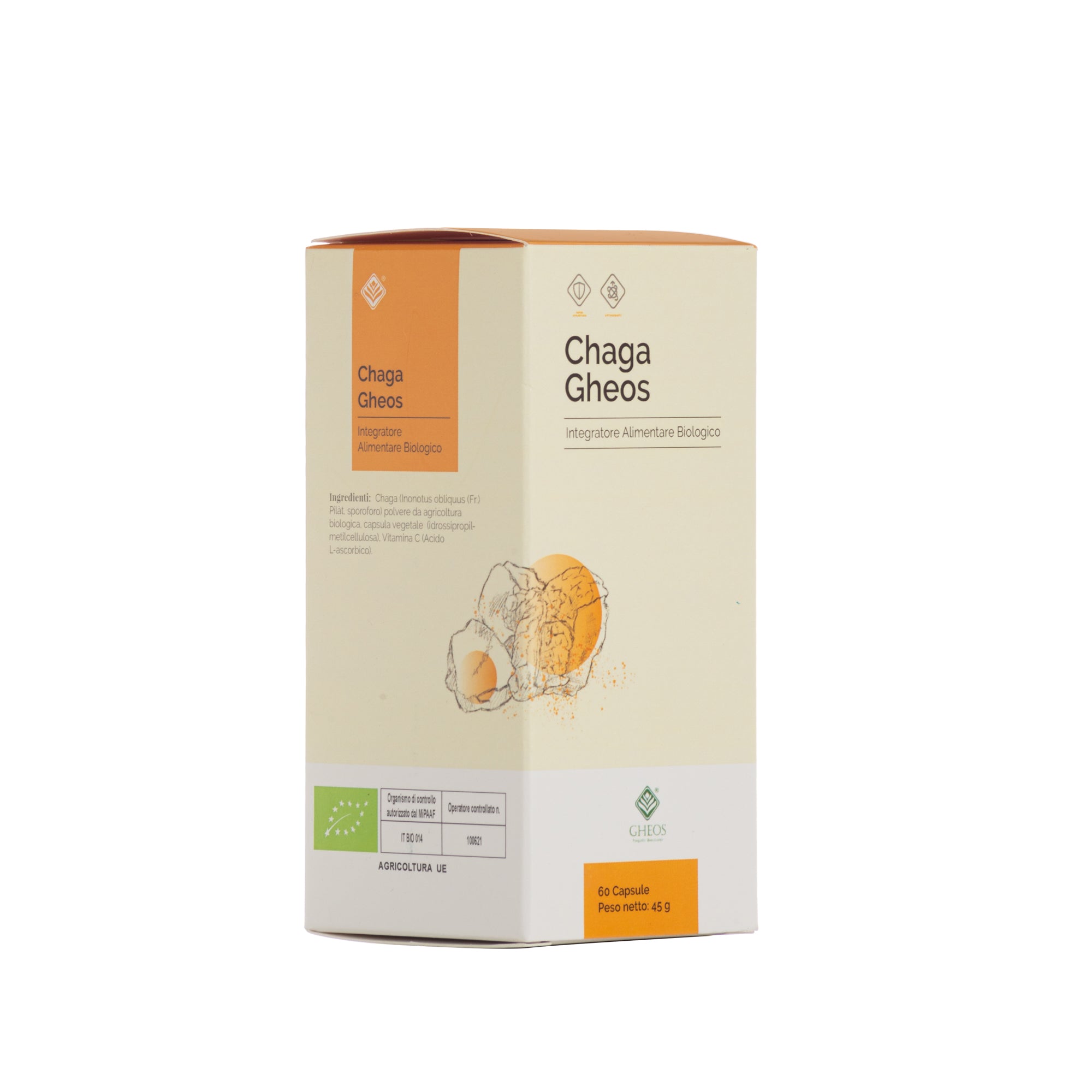 CHAGA