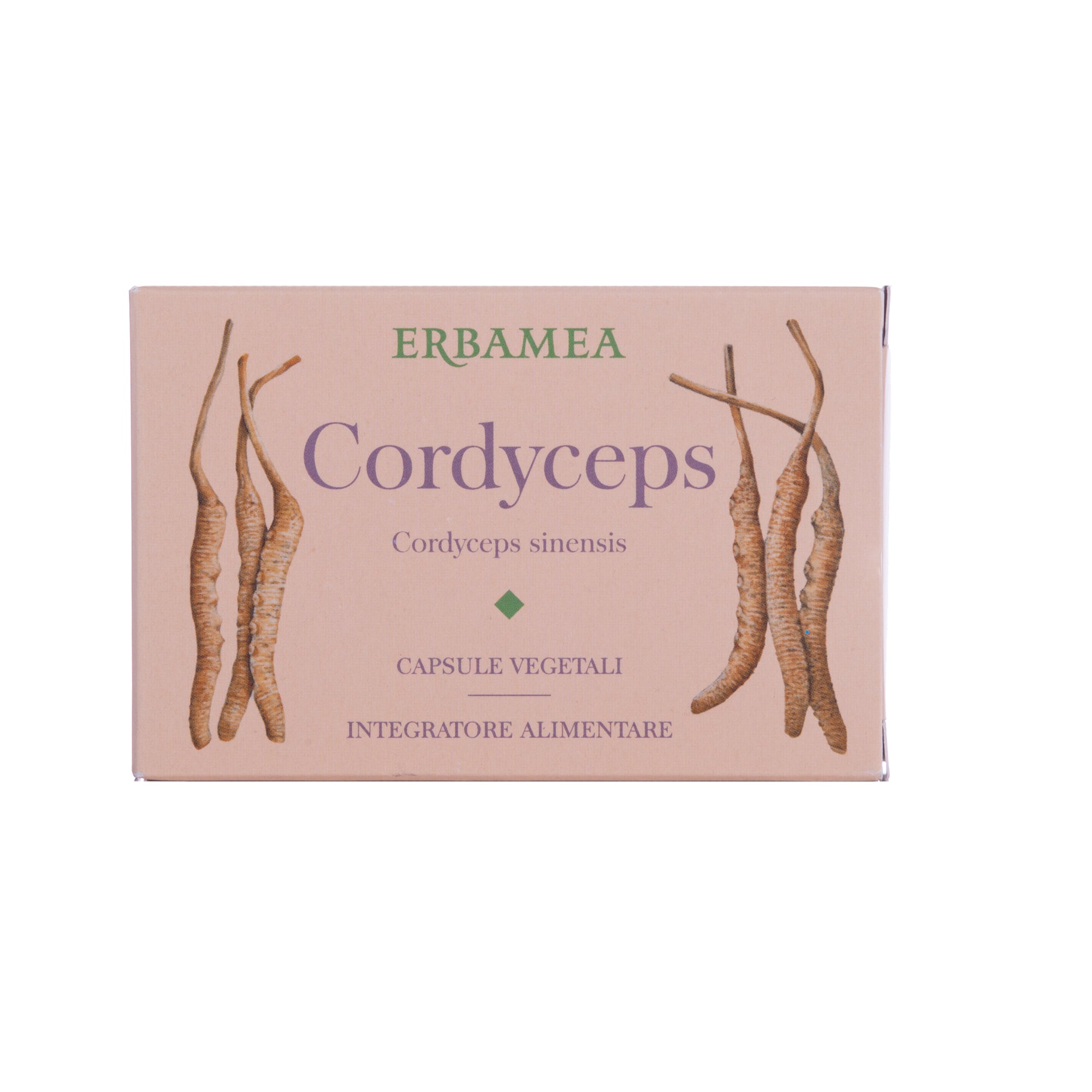 CORDYCEPS 24 CAPSULE