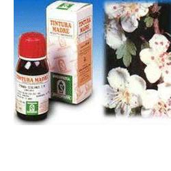 CRATAEGUS OXYCANTHA TINTURA MADRE