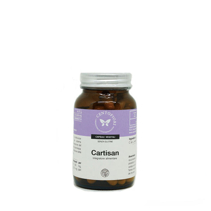 CARTISAN 100 CAPSULE