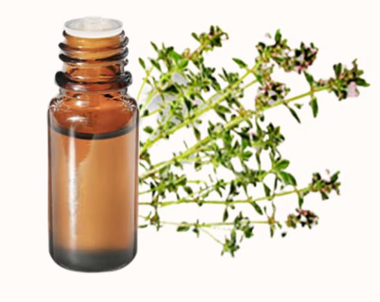 TIMO THUYANOLO OLIO ESSENZIALE 5ML