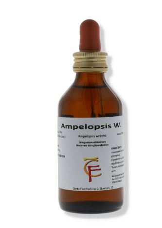 AMPELOPSIS MG 50ML