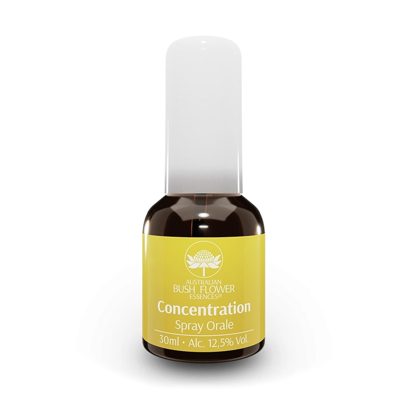 AUSTRALIAN BUSH FLOWER - CONCENTRATION ORAL SPRAY 30ML
