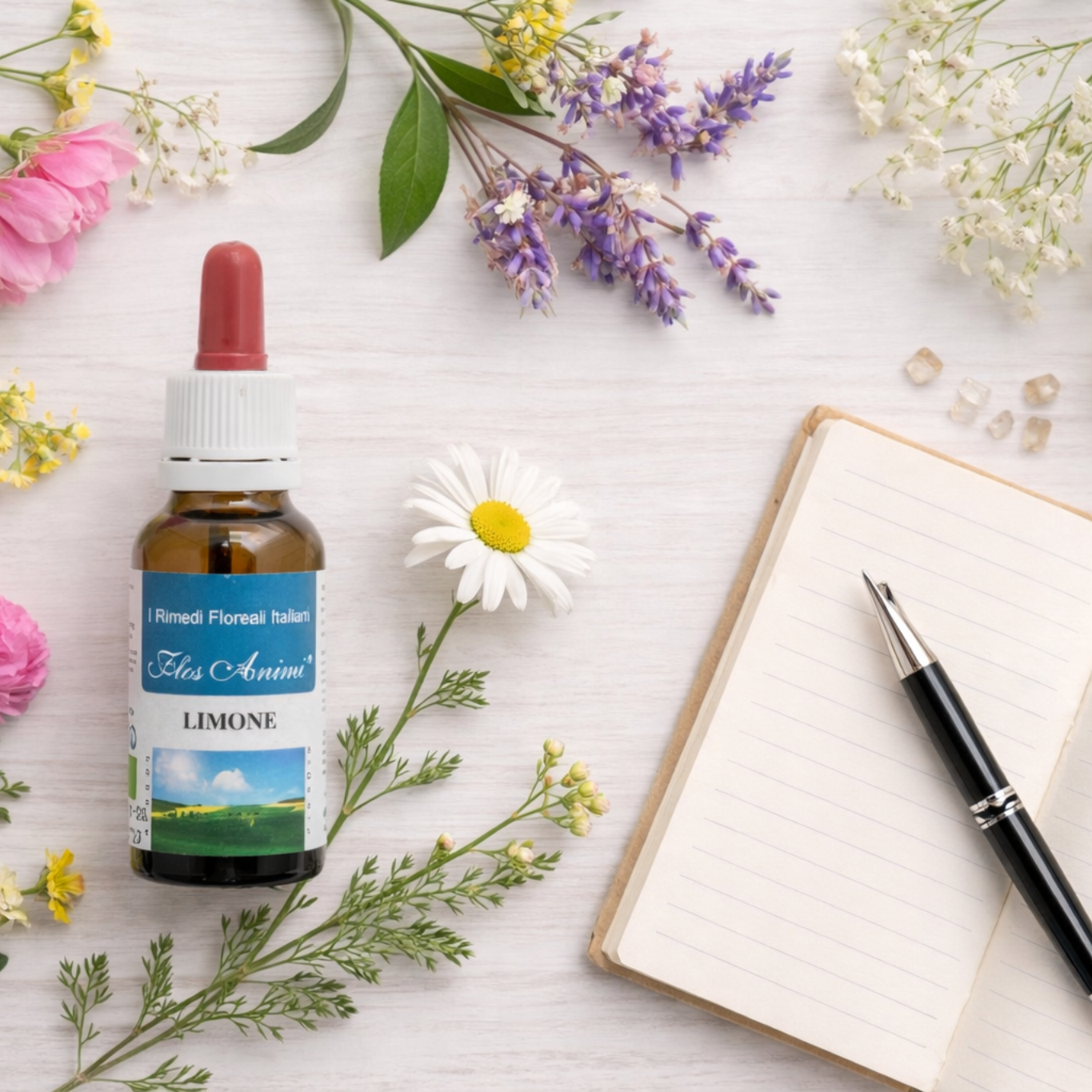 CORSO FIORI ITALIANI LIVELLO 1