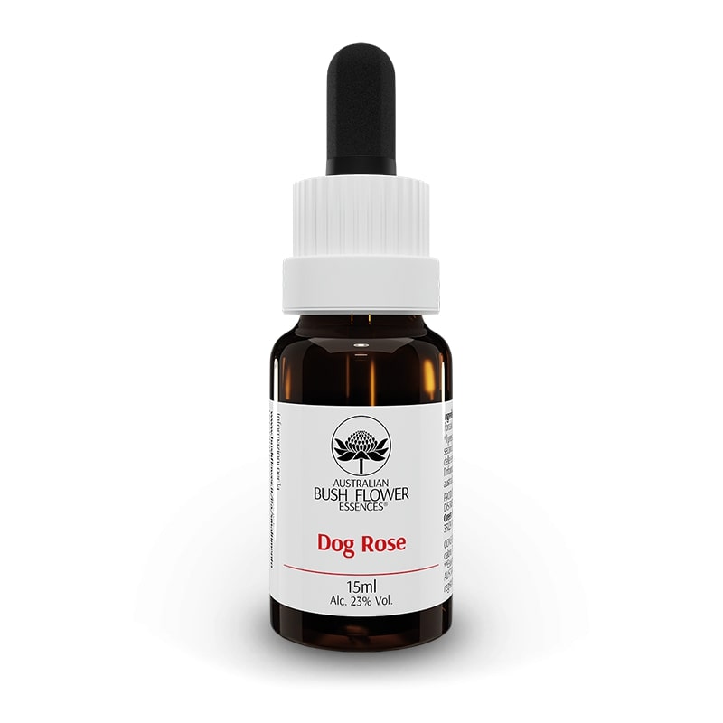 AUSTRALIAN BUSH FLOWER - DOG ROSE AUSTRALIAN GTT 15ML