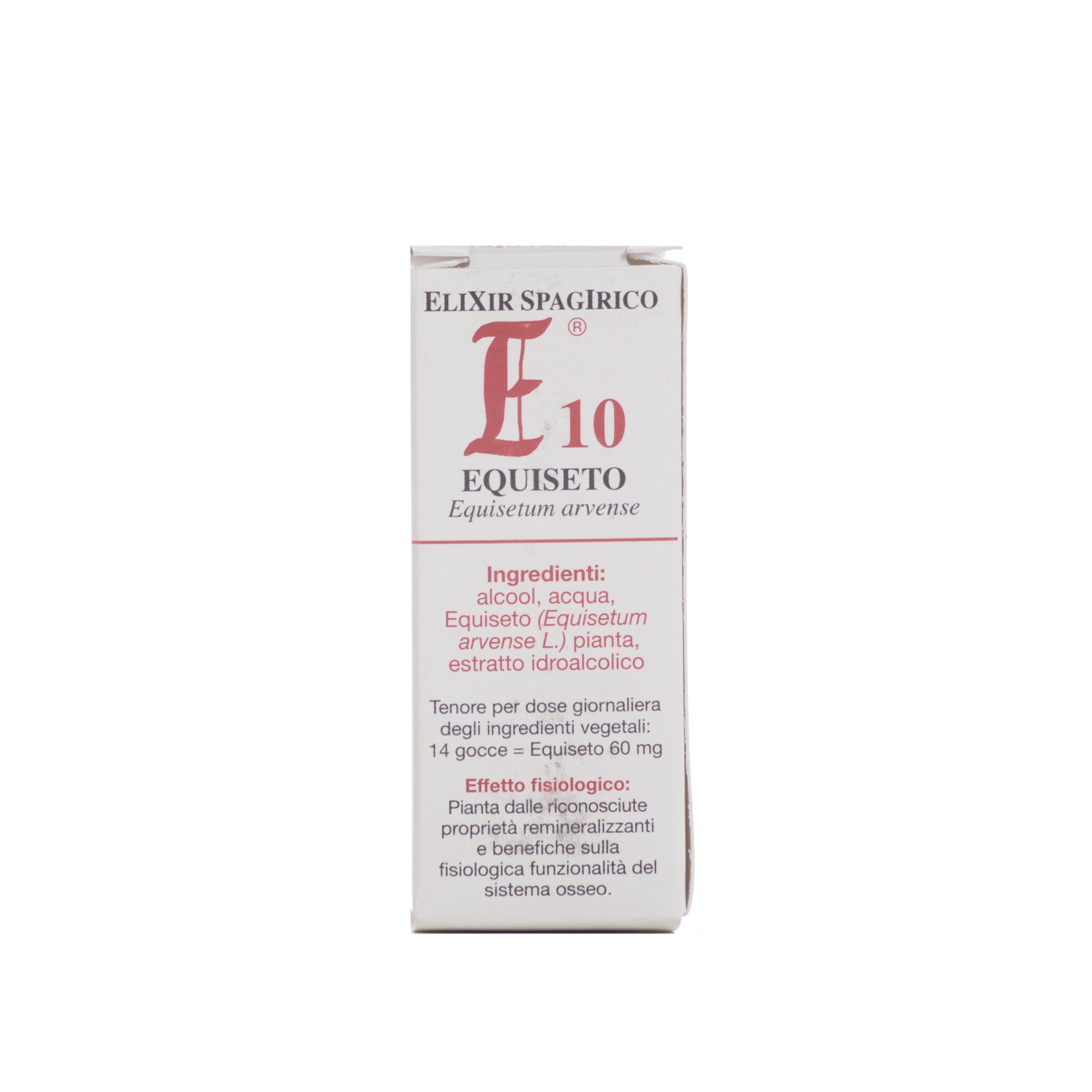 E10 EQUISETO