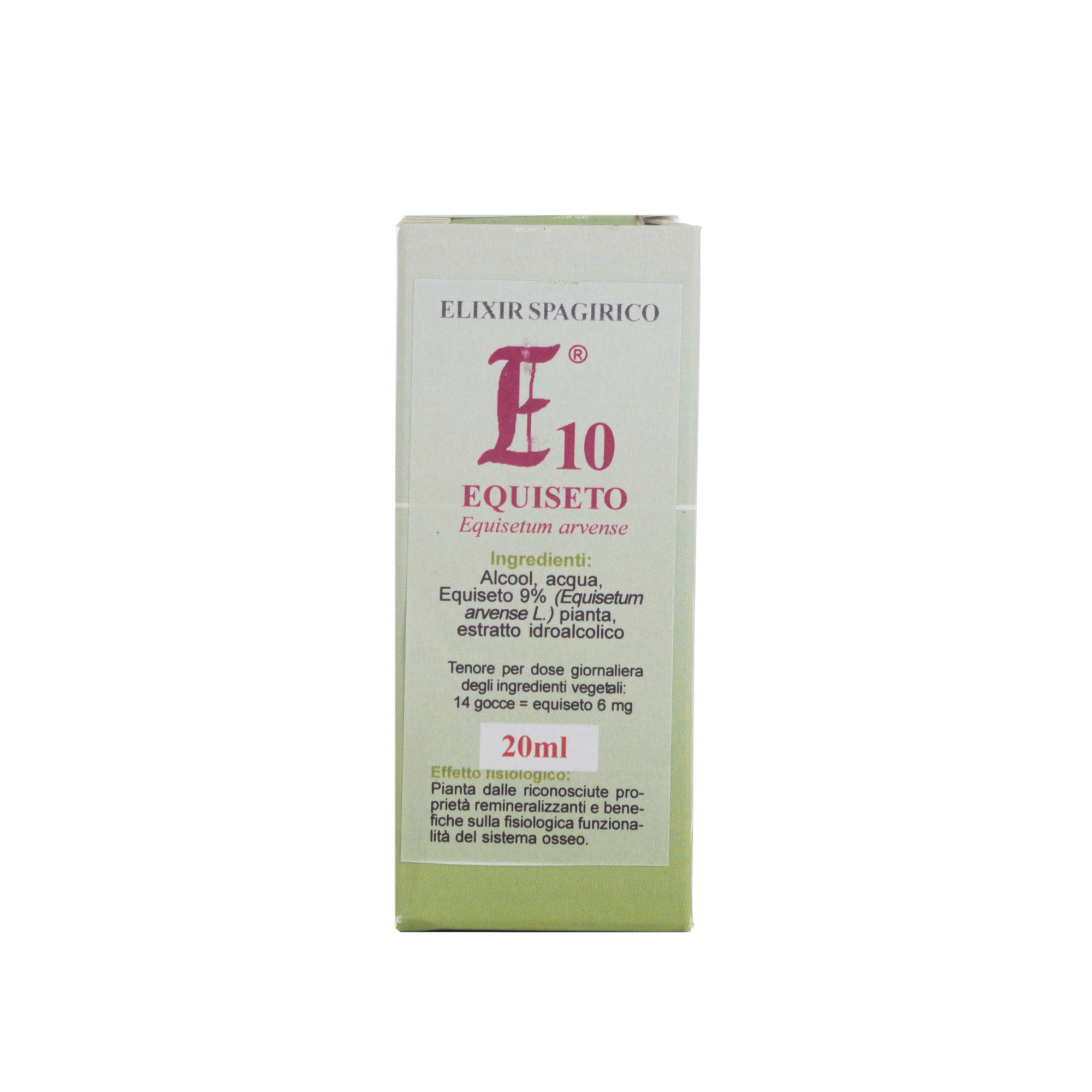 E10 EQUISETO