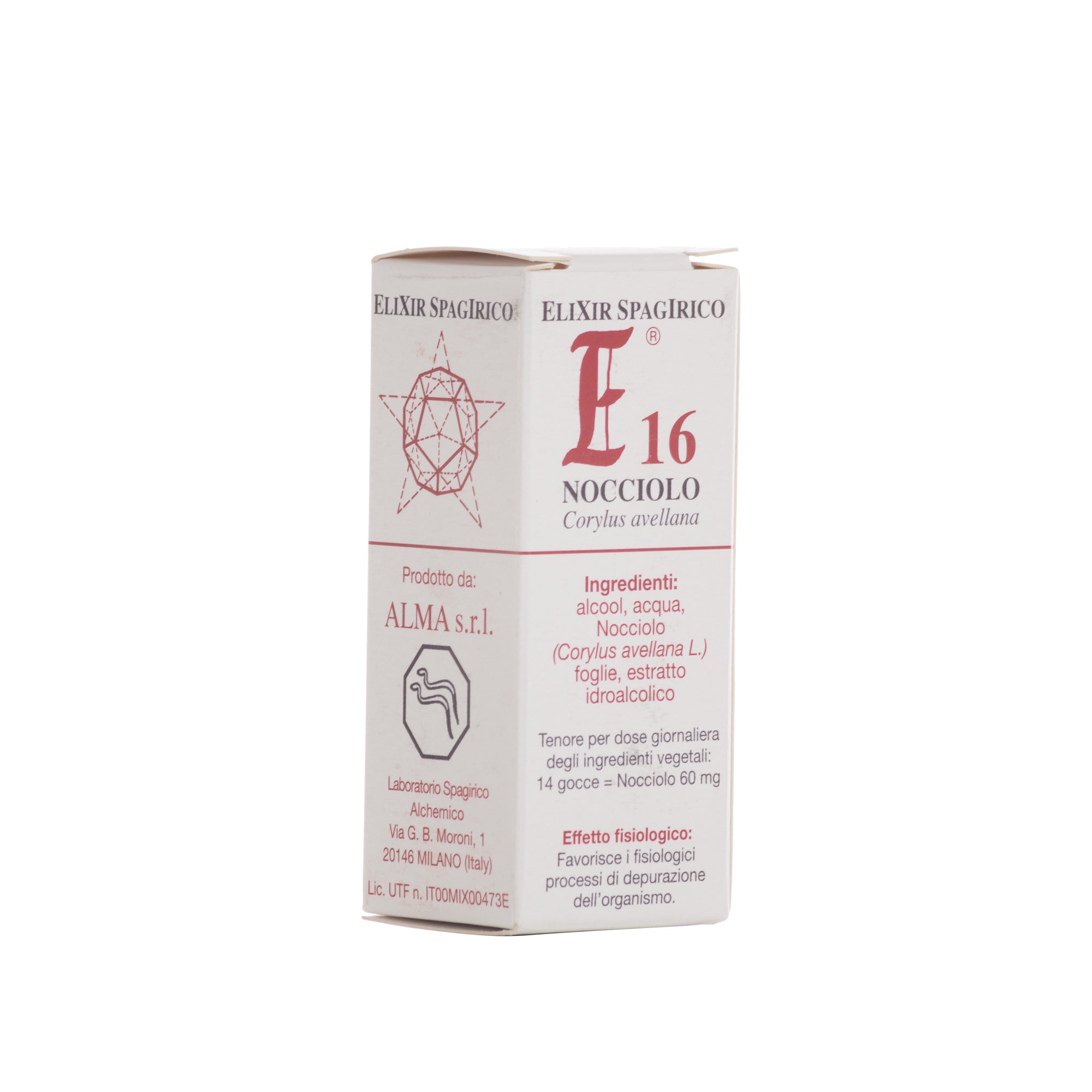 E16 NOCCIOLO