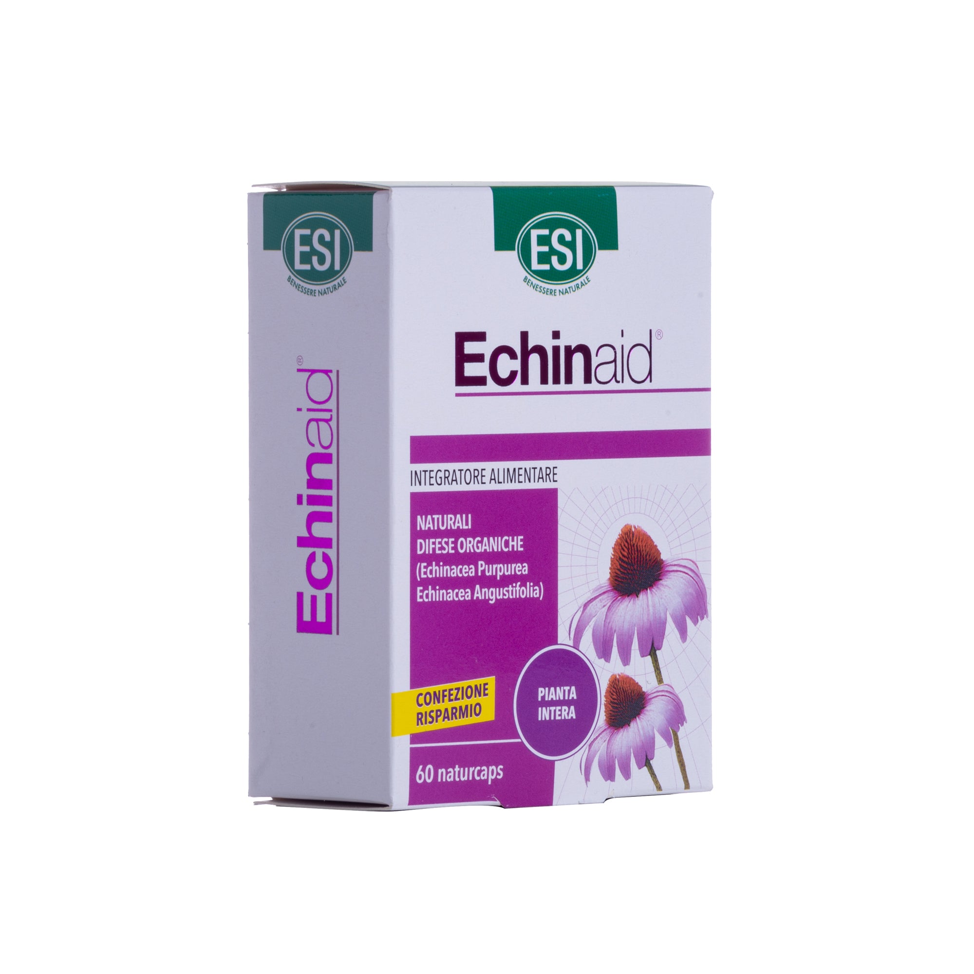 ECHINAID
