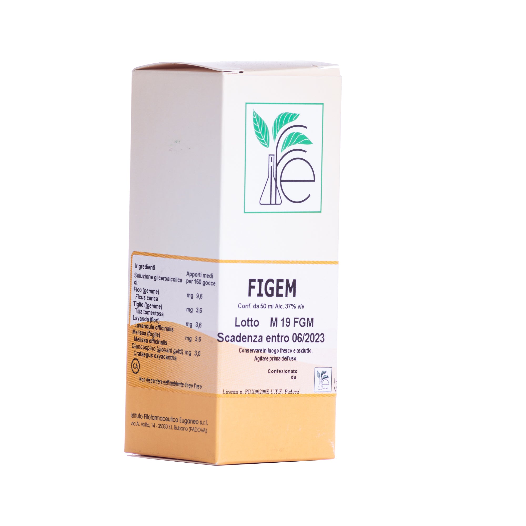 FIGEM GEMMO COMPLEX