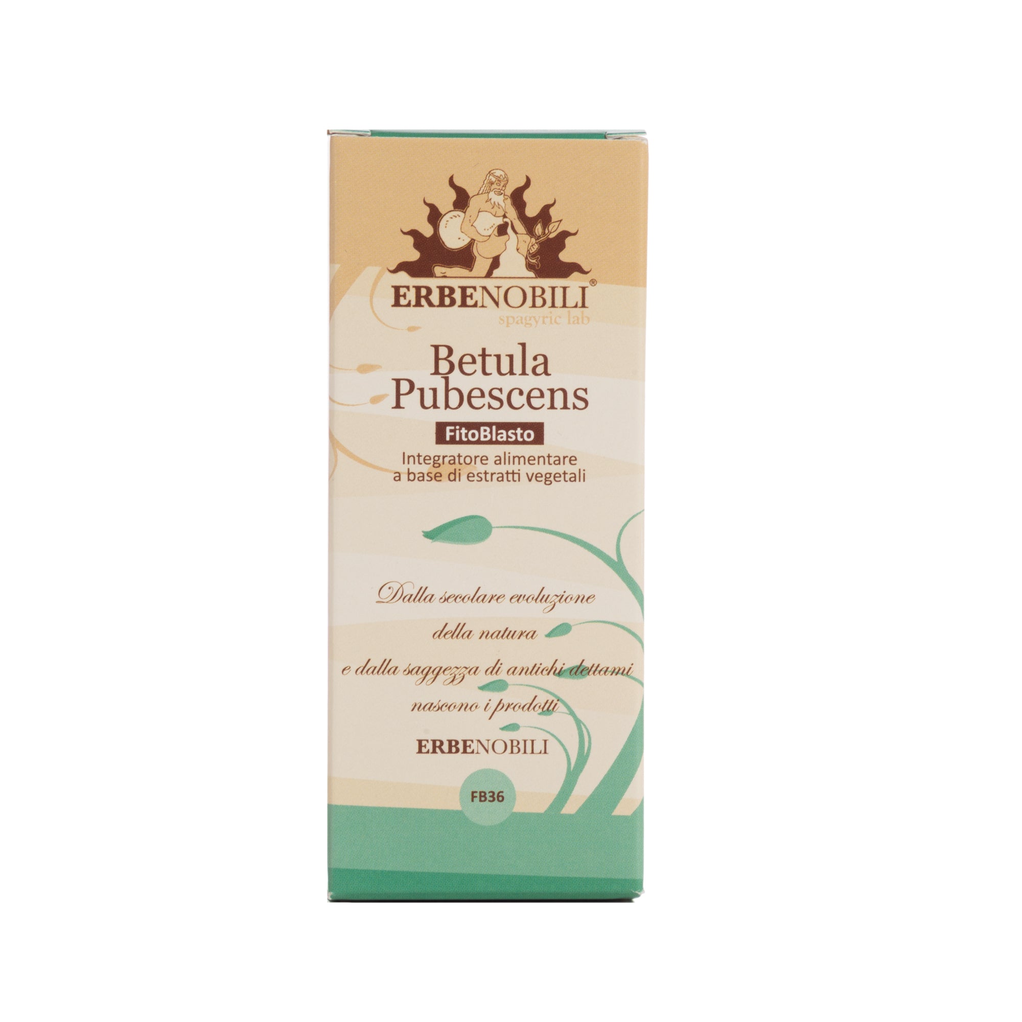 FITOBLASTO BETULLA PUBESCENS