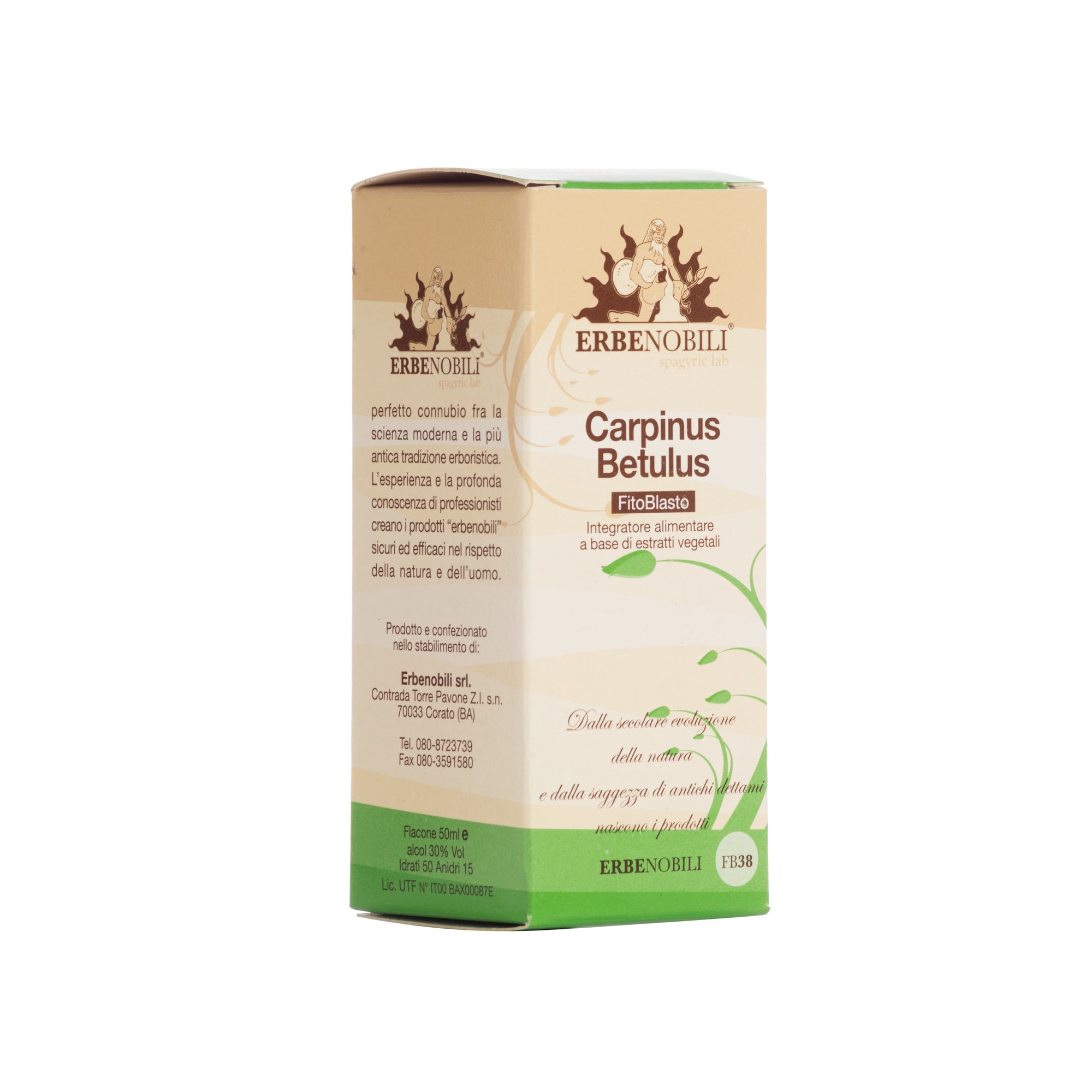 FITOBLASTO CARPINUS BETULUS