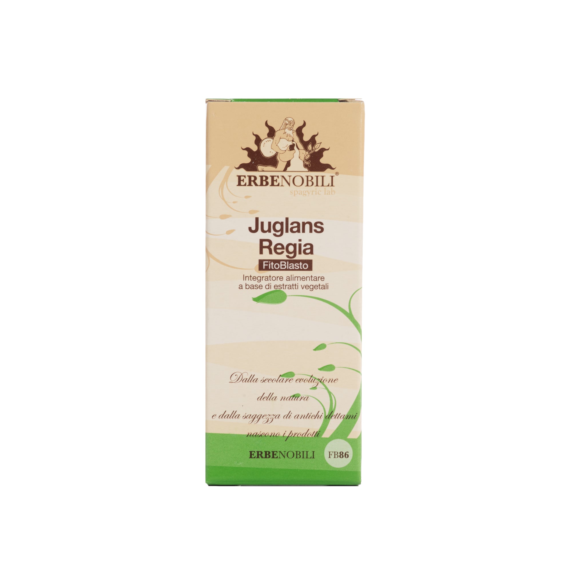 FITOBLASTO JUGLANS REGIA