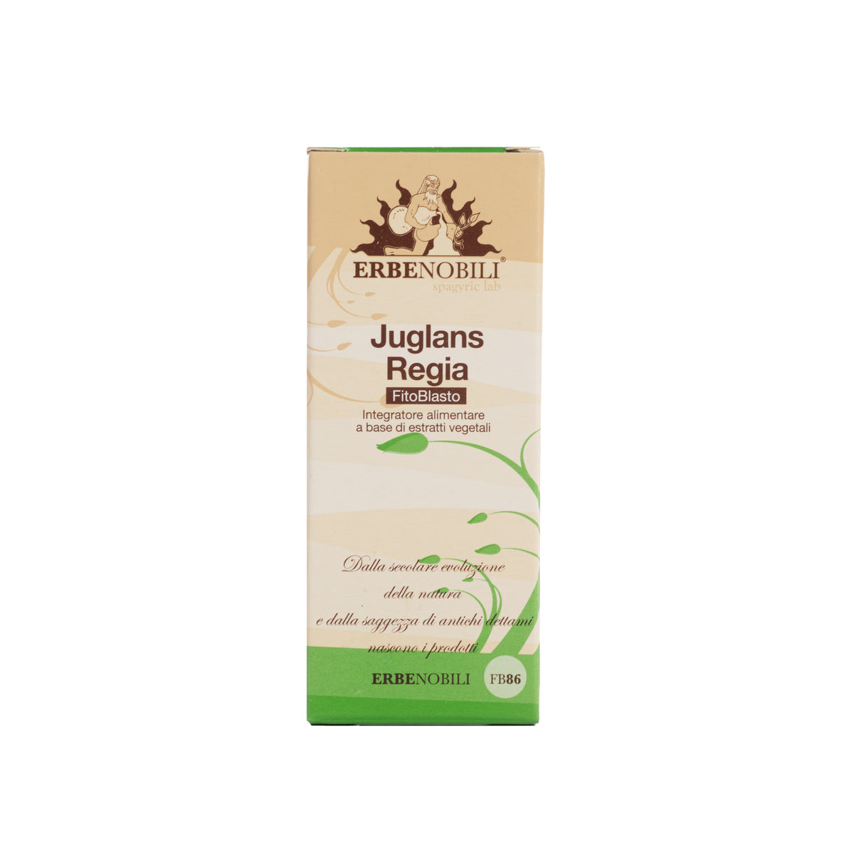 FITOBLASTO JUGLANS REGIA