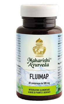 FLUIMAP