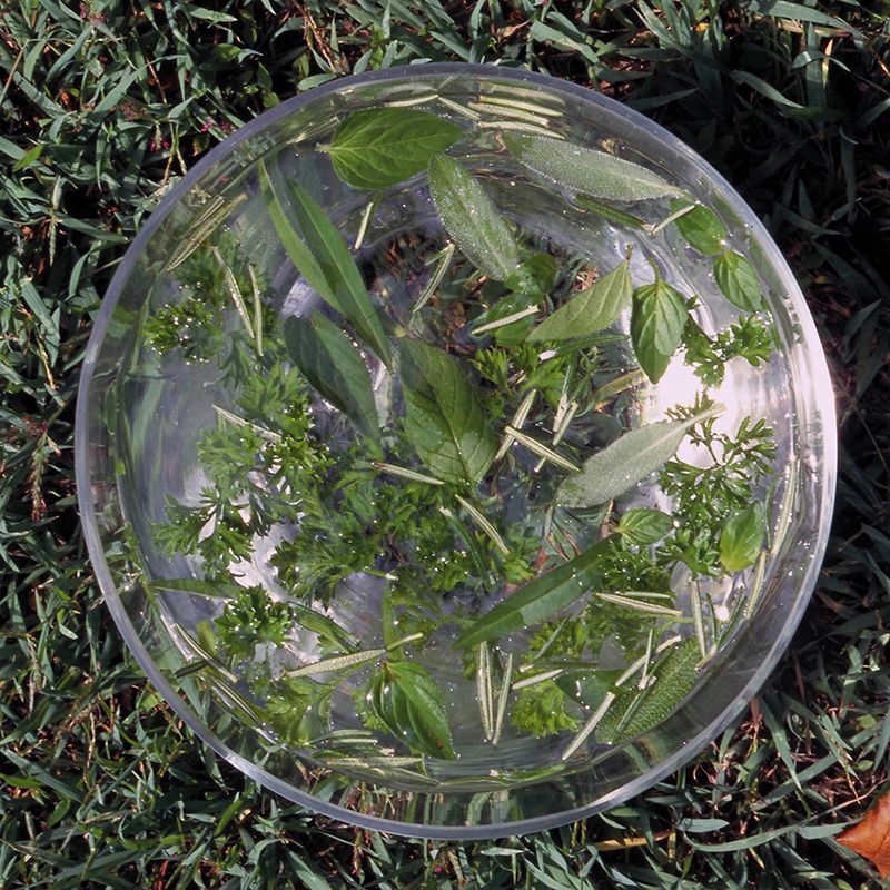 AUSTRALIAN BUSH FLOWER - GREEN ESSENCE GTT 15ML
