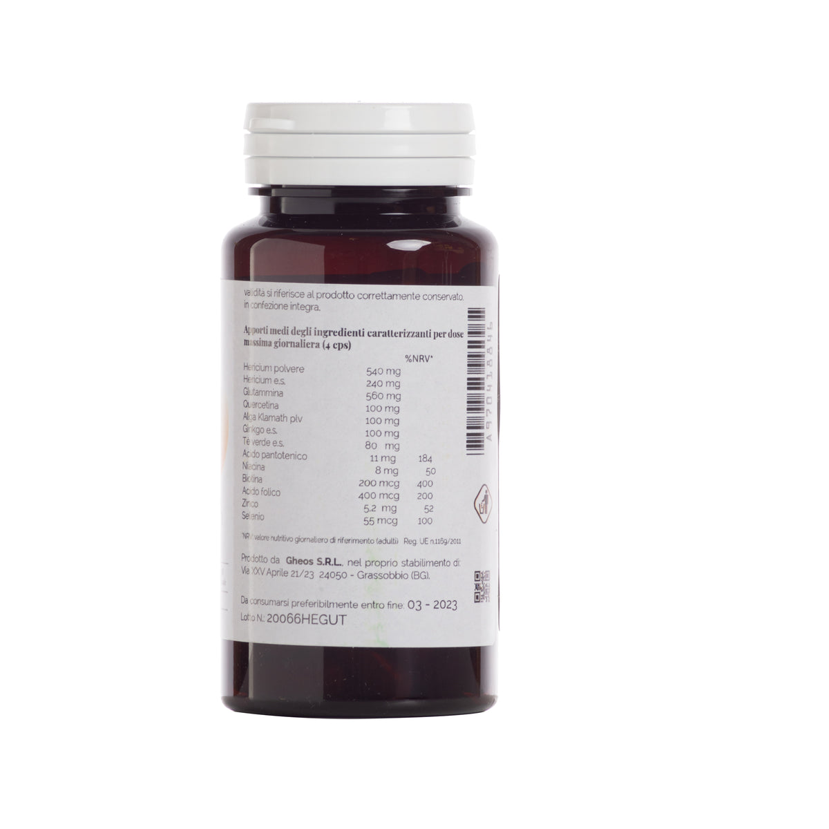 HERICIUM GUT