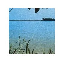 AMAZZONIA AMAZONAS ORCHID 15ML