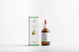 PLATANUS ORIENTALIS 50ML