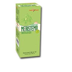 MERISTEMO YNKHAS 6